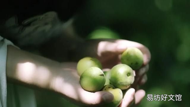 10首最美立夏诗词，雨熟黄梅，夏木成阴，人间最美是初夏