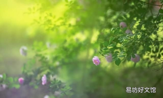 10首最美立夏诗词，雨熟黄梅，夏木成阴，人间最美是初夏