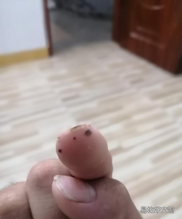 怎么判断蜂针在不在 蜜蜂刺有没有毒,被蛰了之后没有拔出来会有什么后果