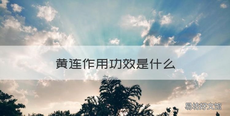 黄连作用功效是什么,黄芪的功效与作用图片