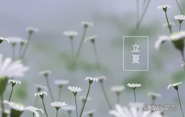 送你一夏清凉现代诗，10首立夏诗词送你一夏清凉