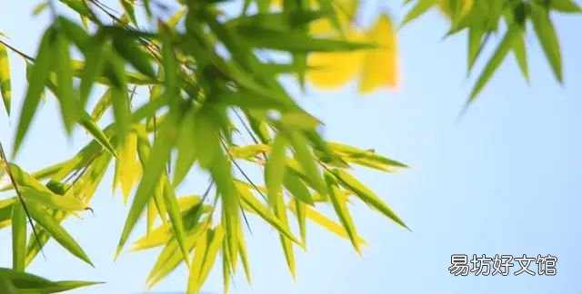 送你一夏清凉现代诗，10首立夏诗词送你一夏清凉