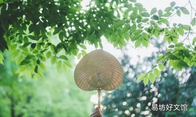 送你一夏清凉现代诗，10首立夏诗词送你一夏清凉