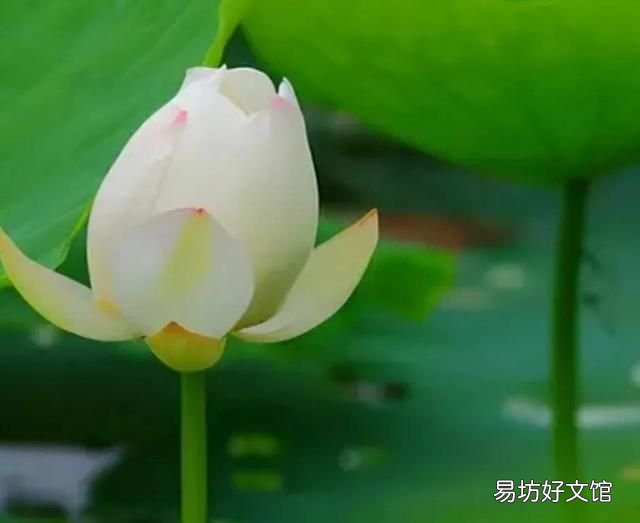 孔子与项橐的故事 孔子拜师的故事