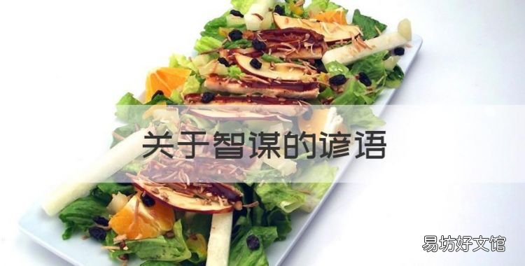 关于智谋的谚语,民间的智慧谚语大全