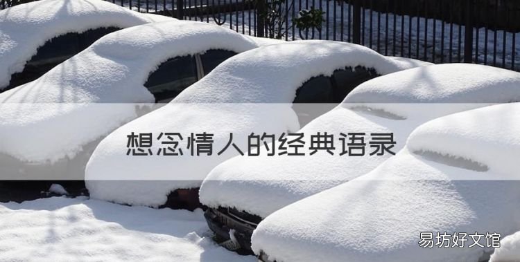 想念情人的经典语录,思念爱人的唯美句子精选