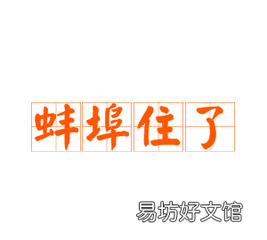 蚌埠住了怎么读？ 埠蚌怎么念