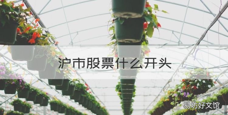 沪市股票什么开头，深股代码什么开头