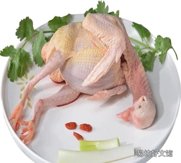 鸽子肉怎么炒的做法:鸽子怎么做好吃?