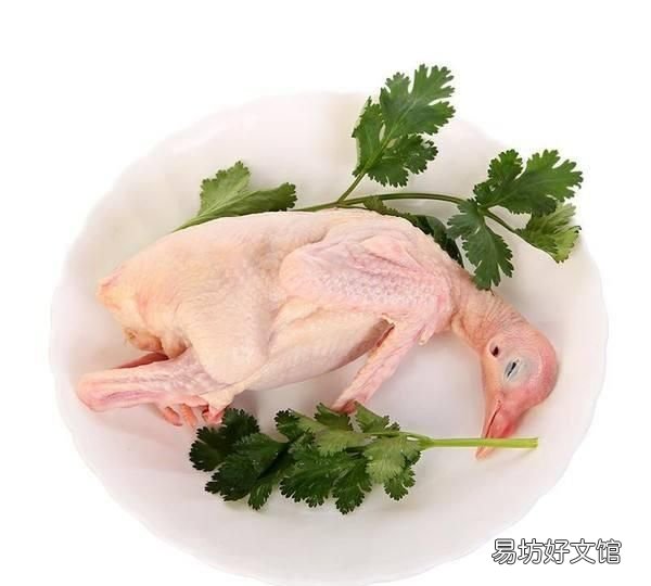 鸽子肉怎么炒的做法:鸽子怎么做好吃?