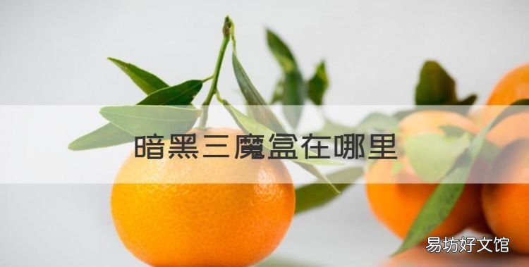 暗黑三魔盒在哪里，暗黑三赛斯切隆废墟神器位置