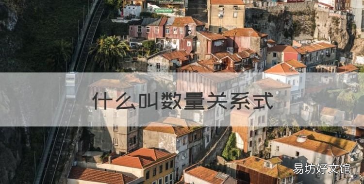 什么叫数量关系式，数学的数量关系式是什么意思