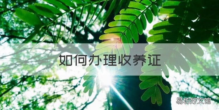 如何办理收养证,怎么办理收养证明