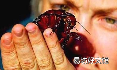 蟑螂用开水烫能死吗