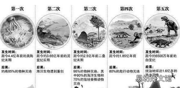 蟑螂的生命力为什么那么强,蟑螂生命力为什么那么顽强