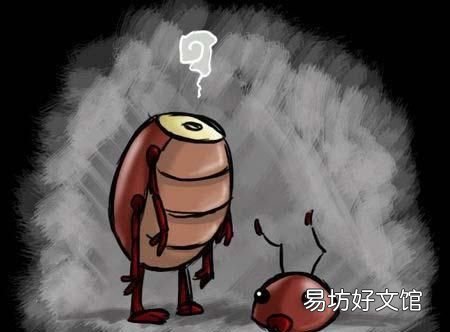 蟑螂的生命力为什么那么强,蟑螂生命力为什么那么顽强