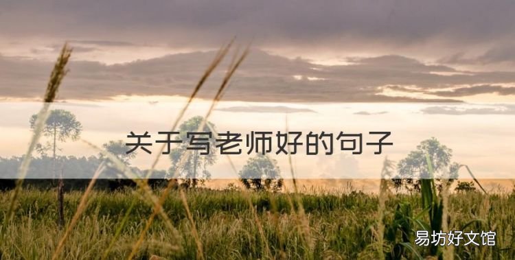 描写老师好的句子，关于写老师好的句子