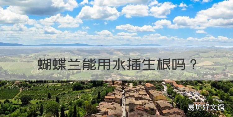 蝴蝶兰能用水插生根,蝴蝶兰生根好方法视频