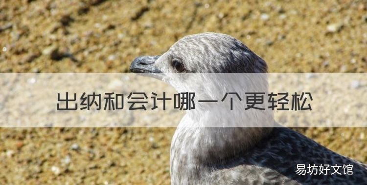 干出纳好还是会计轻松，出纳和会计哪一个更轻松