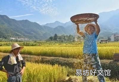 四季八节哪八个节:“四时八节”是什么?