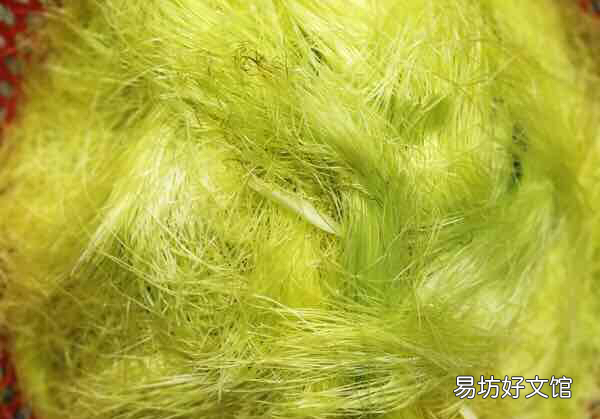 玉米须配什么泡茶解暑