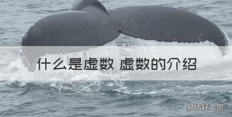 什么是虚数,什么是虚数 虚数的介绍