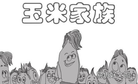 玉米的营养价值 如何煮水果玉米才更甜