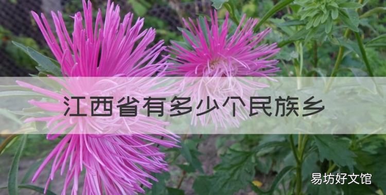 江西省有多少个民族乡,江西省有几个少数名族乡