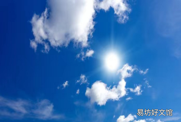 小叶栀子花叶子发黄怎么办,栀子花叶子卷曲干枯是怎么回事