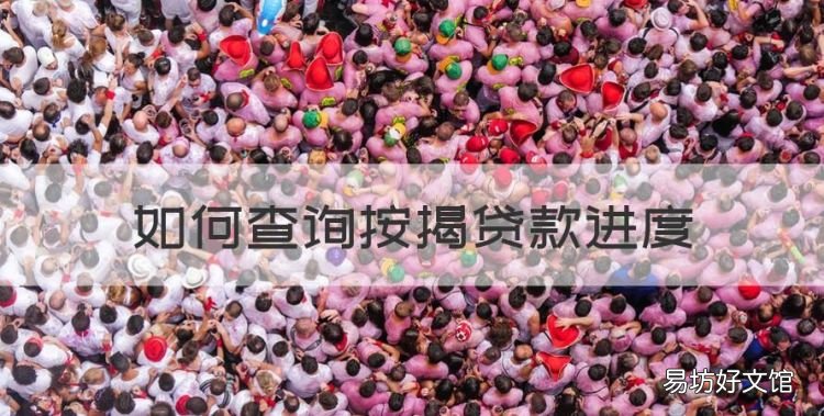 怎么查房贷进度查询,如何查询按揭贷款进度