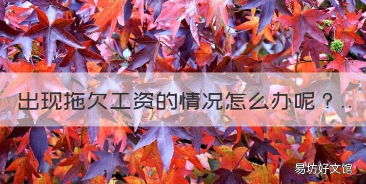 厂里拖欠工资不发怎么办,出现拖欠工资的情况怎么办
