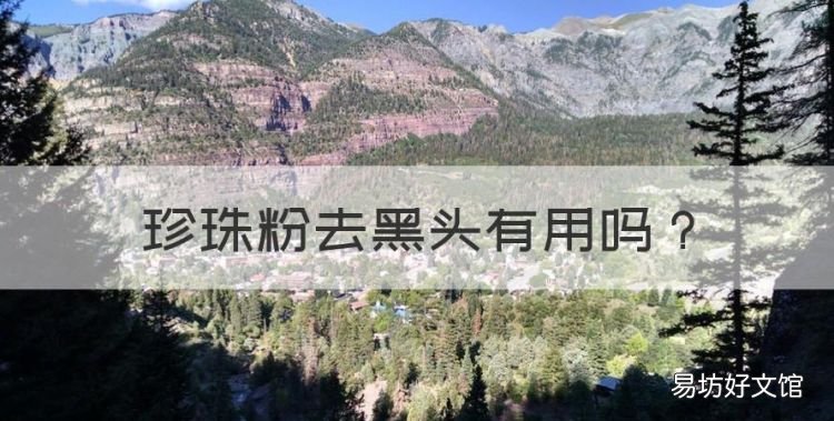 珍珠粉去黑头有用,珍珠粉真的能去黑头收缩毛孔吗?