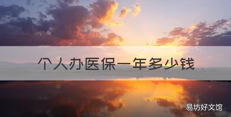 医疗保险一年多少钱,个人办医保一年多少钱