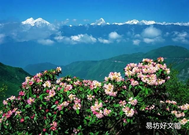 诗句窗含西岭千秋雪中的西岭指的是什么山