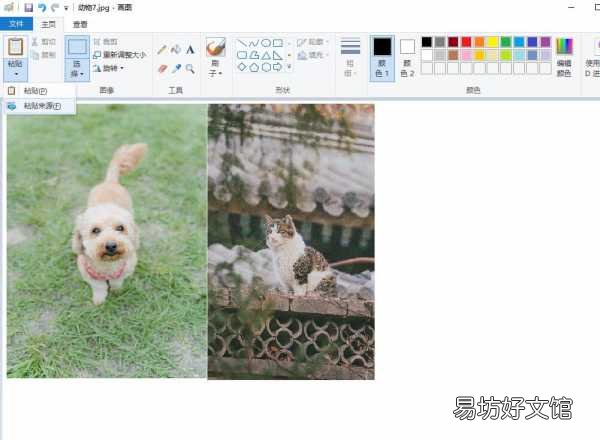 手把手教你3秒合并20张图片 拼图照片怎么拼图最快