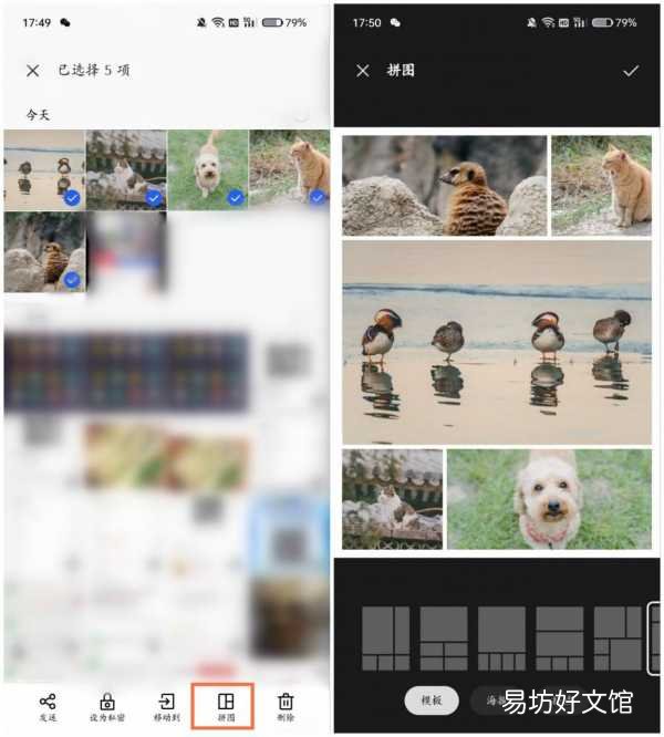 手把手教你3秒合并20张图片 拼图照片怎么拼图最快