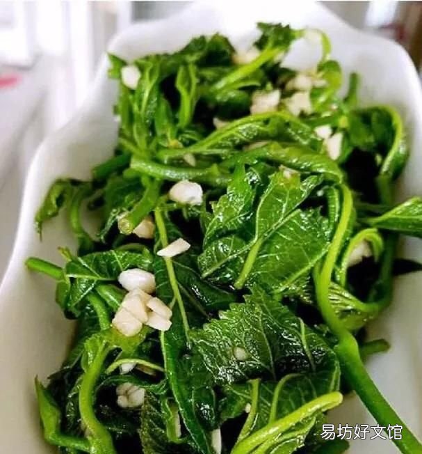 桑树叶是晒干还是阴干 桑叶的作用有哪些？