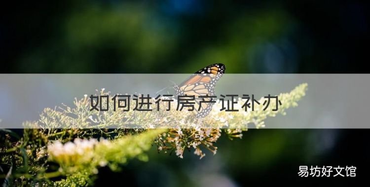 如何进行房产证补办,农村房产证补办需要什么手续