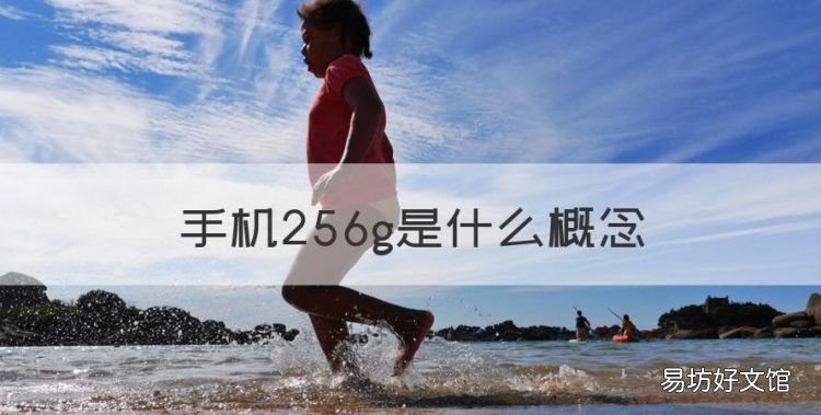 手机256g是什么概念,手机内存256g多少钱