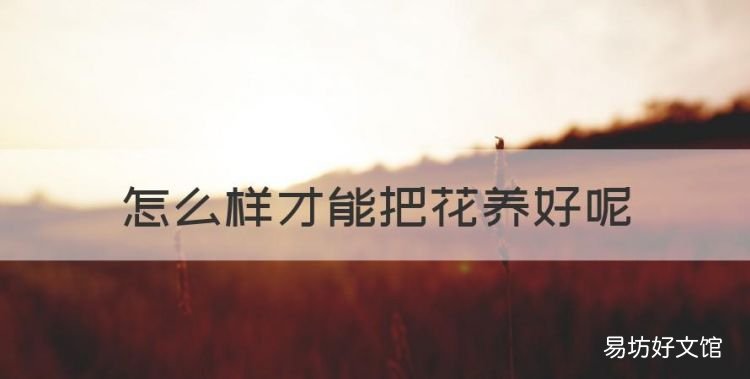 怎么样才能把花养好,杜鹃花怎么养才能更旺盛