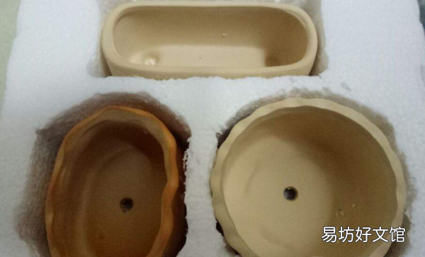 怎么样才能把花养好,杜鹃花怎么养才能更旺盛