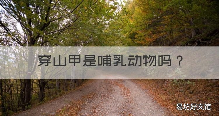 穿山甲是哺乳动物