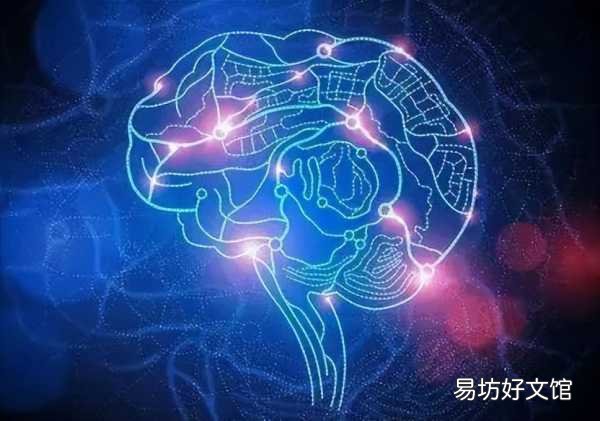16個適合鄉鎮做的生意 適合城鎮的小生意項目大全