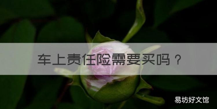 车上责任险需要买,车上人员责任险有必要买吗知乎