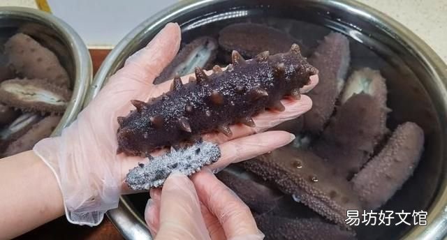 海参的泡发方法 海参怎么发