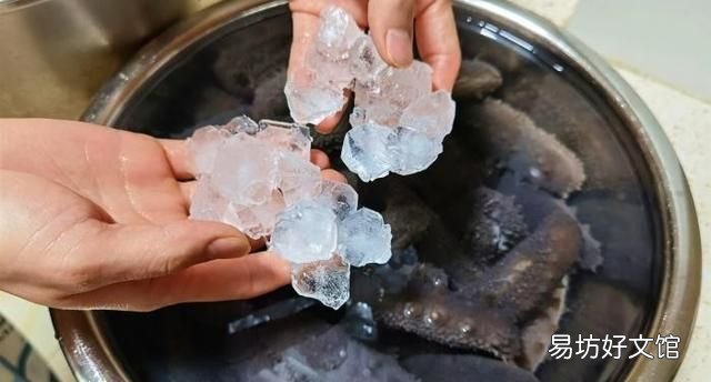 海参的泡发方法 海参怎么发