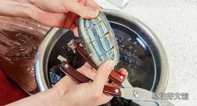 海参的泡发方法 海参怎么发