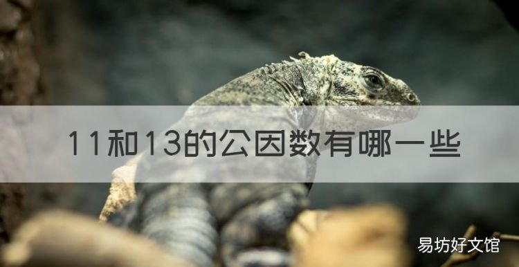 和3的公因数有哪些,最大公因数和最小公倍数的公式