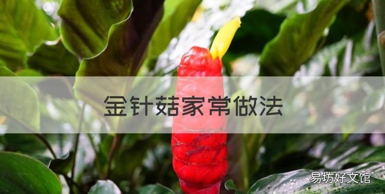金针菇家常做法,蒜蓉金针菇家常简单的做法