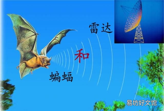 人们在什么动物身上得到了启示发明了什么